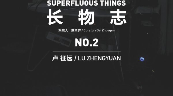SUPERFLUOUS THINGS NO.2 Lu Zhengyuan