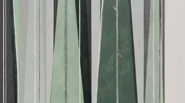Gray Pine
