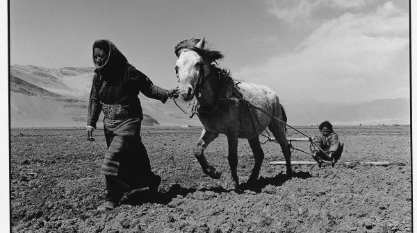 Four Seasons—Everyday Life of Tibetan Peasants No.10