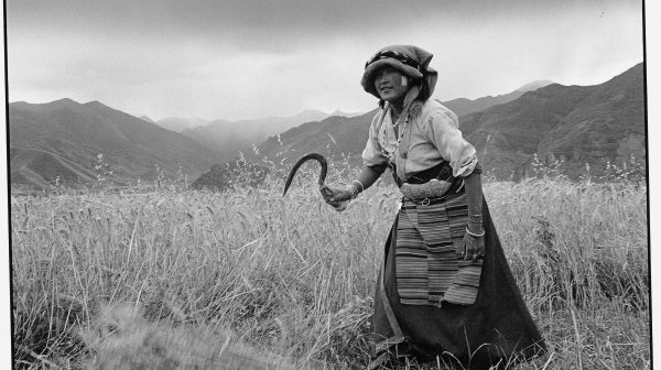 Four Seasons—Everyday Life of Tibetan Peasants No.42