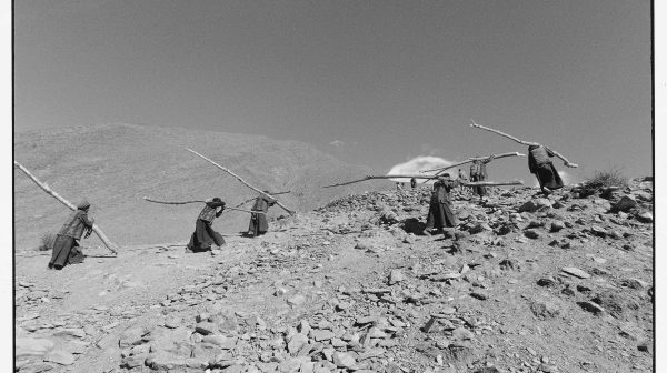 Four Seasons—Everyday Life of Tibetan Peasants No.109