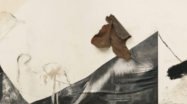 Remnant Mountain-6