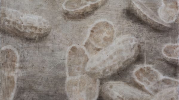 Peanut Shell