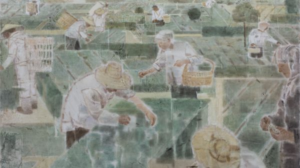Tea Picking