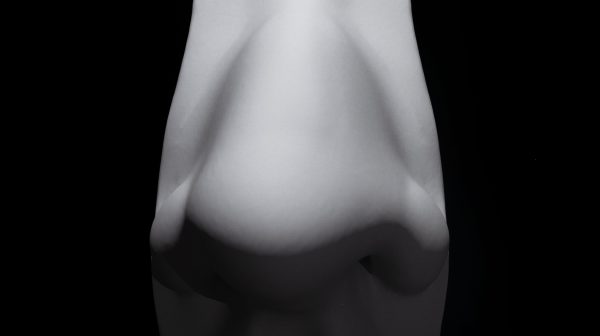 鼻子