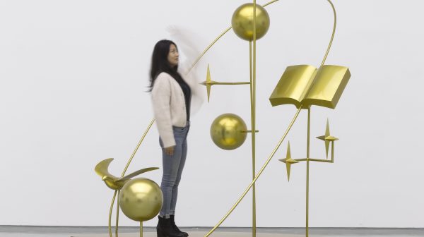 Bird, Balls, Stars and Book