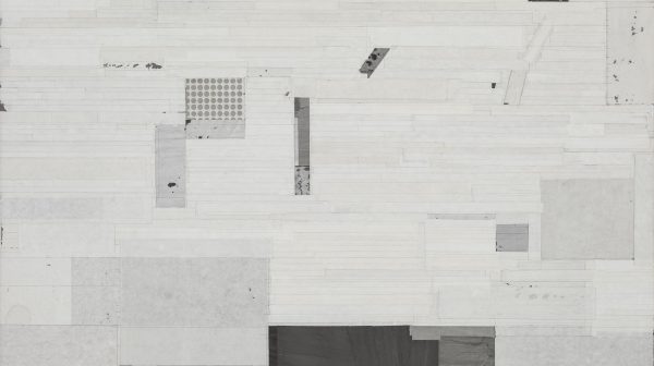 Hidden Fish in a Clear Stream III