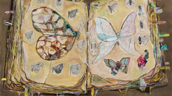 A Volume of Butterflies