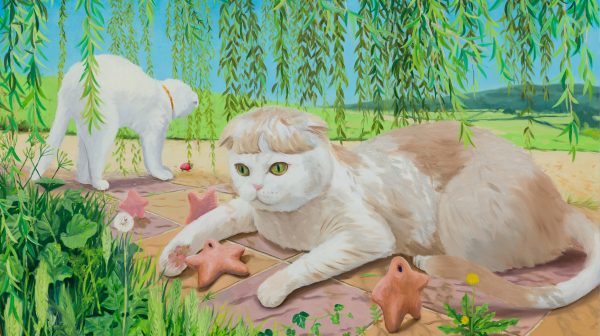 Cats Playing with Slightly Frightened Creatures on a Clear Day