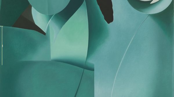 Facial Appearance JXM-01