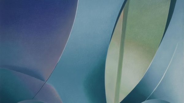 Facial Appearance JXM-02