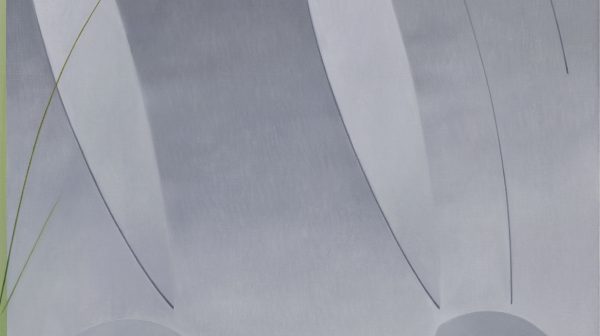 Facial Appearance JXM-03