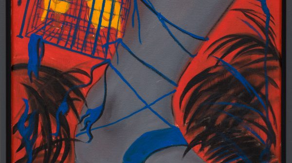 Amazones 之鞋（鸟笼）