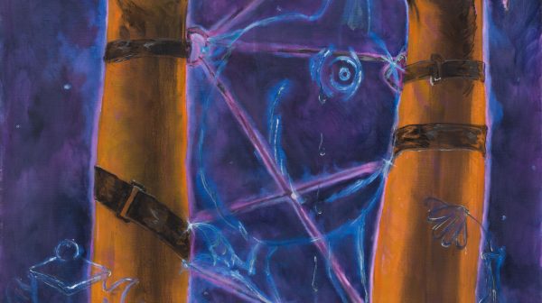 没有借口的出现（鸟类撕裂及其过程）