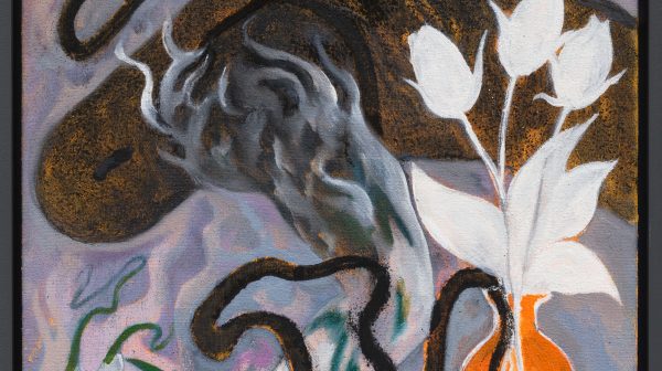 老虎诗人（白色郁金香）