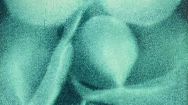 秘密在密议中产生