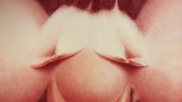 女巫中最可爱的一个