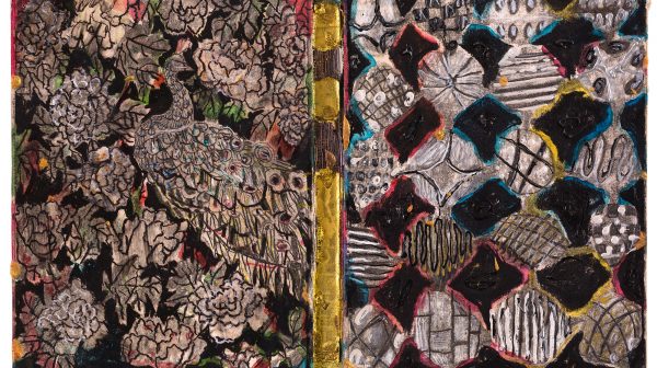 空壳系列-孔雀纹样