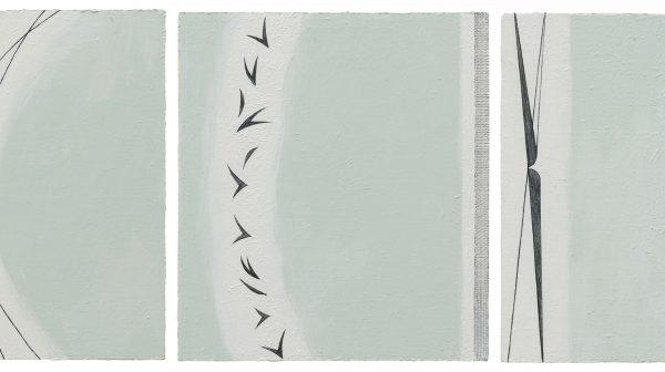 Klee and Ixeris denticulata