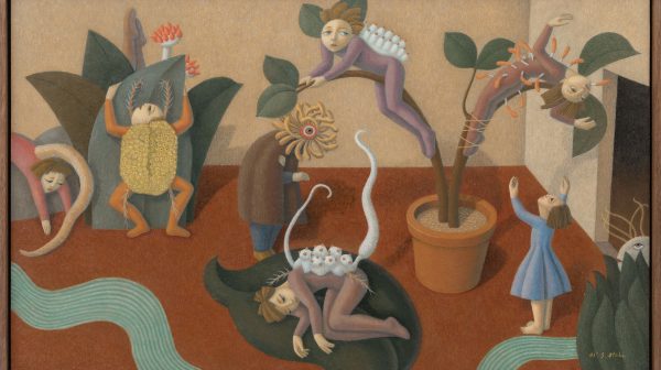 Gibellula and Torrubiella