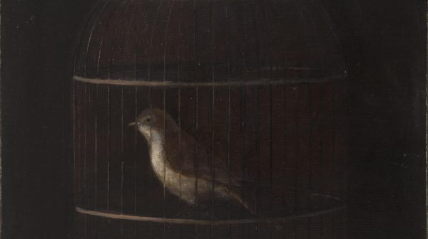 Bird in the Cage