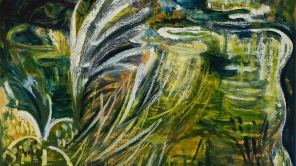 A walking meditation after the rain