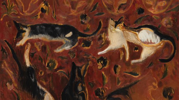 九条命的形状 - 2