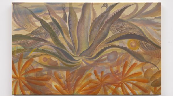 Century Plant at dusk