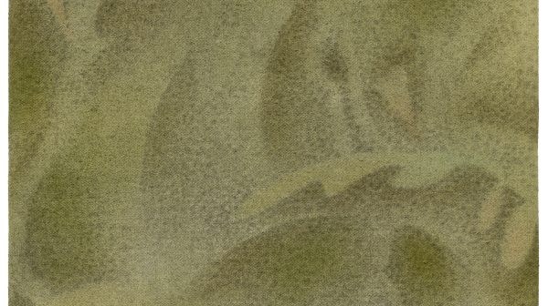 The Croak Terrarium 14
