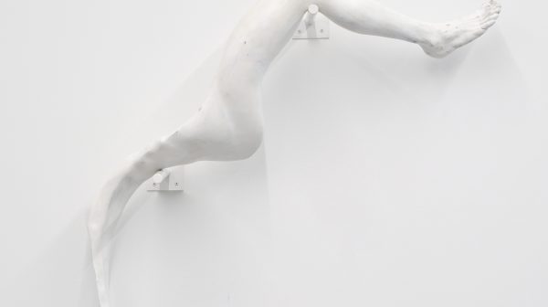 Liquid Body