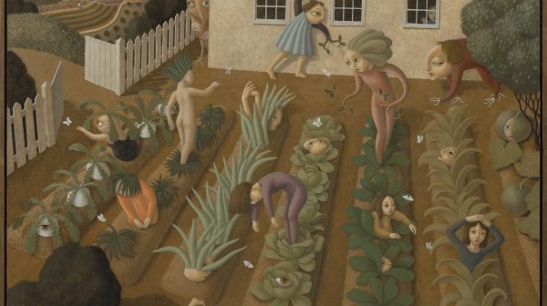 Vegetable Garden