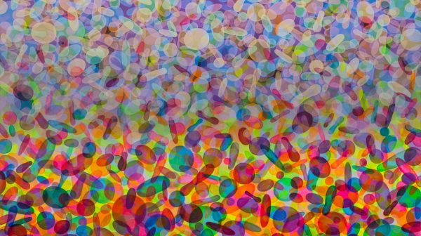 The Shape of Universe