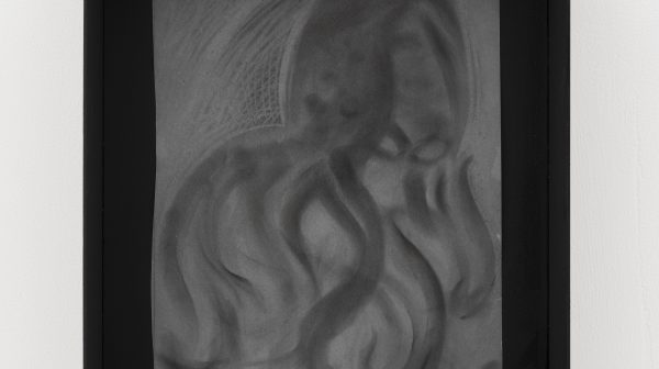Octopus with Flowing Hair