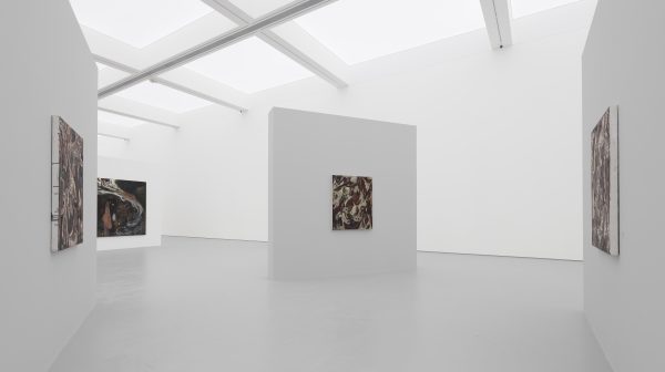 Wang Xinyan: Ramble