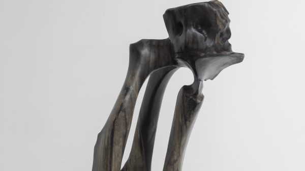 冰河纪的挽歌6号（迁徙）