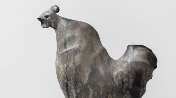 大地上的行吟5号（大鸡）