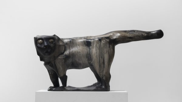 大地上的行吟4号（大猫）