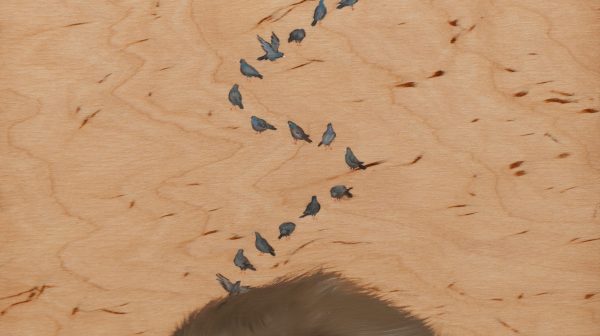 “121.4” The Island of Reason Ⅲ