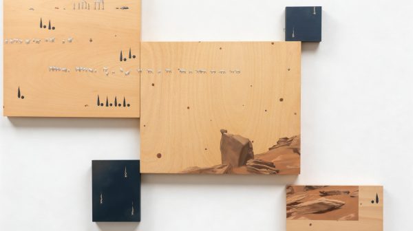 ”521.11” Polarization Notes— The Third Movement of the Flock