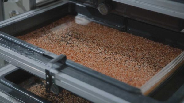 Those Who Return Their Bodies to the River