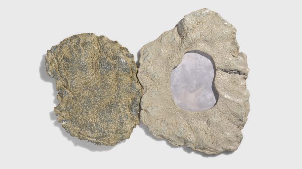 Where Snow Entered 3