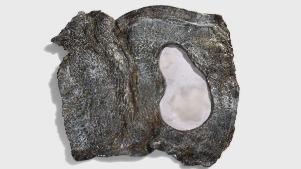 Where Snow Entered 6