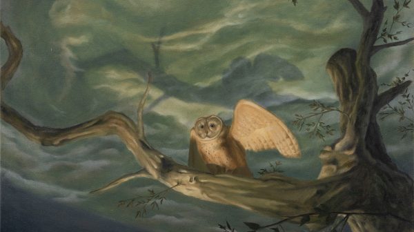 Amid the Branches